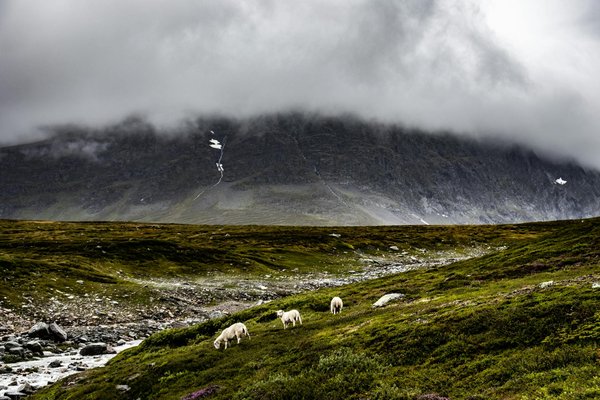 Séjourner à l'hôtel trianon : vue imprenable sur le jardin du luxembourg