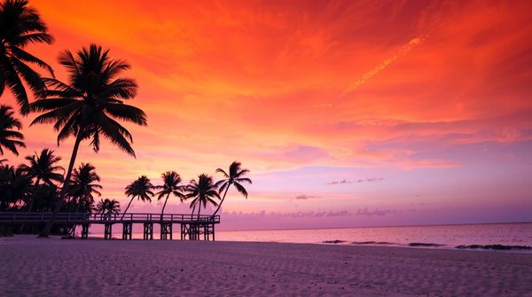 Plongée au cœur du tourisme aux usa : aventures inoubliables