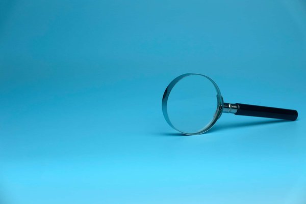 camping et découverte de l'ornithologie : les parcs ornithologiques à explorer